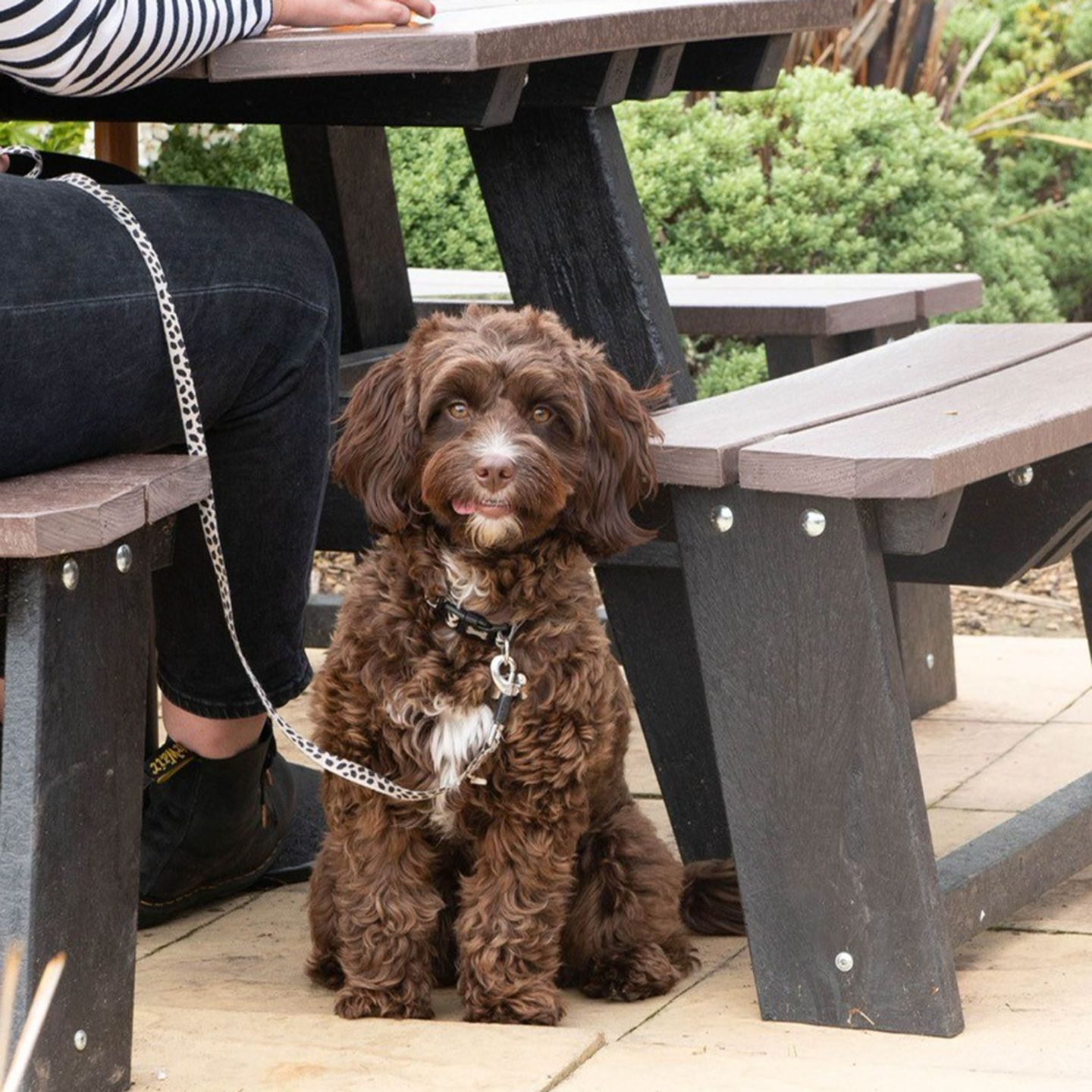 Your local dog friendly pub in Bedworth